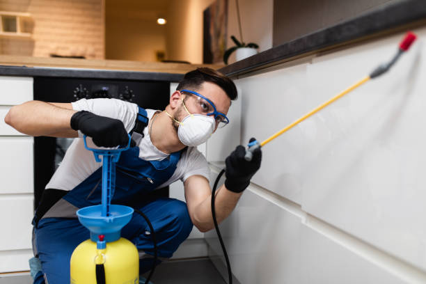 Best Wasp Removal Services  in Suncoast Estates, FL