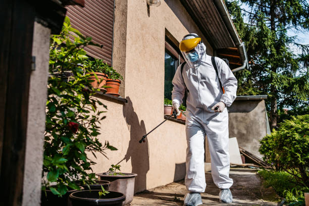 Best Pest Removal Services  in Suncoast Estates, FL