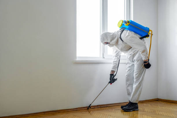 Best Best Pest Control Companies  in Suncoast Estates, FL