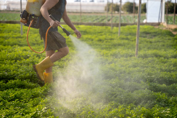 Best Residential Pest Control  in Suncoast Estates, FL