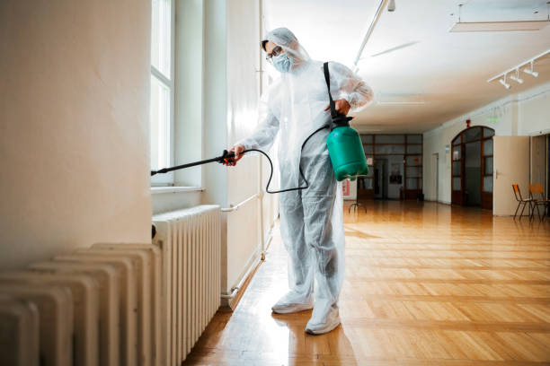 Best Spider Control Near Me  in Suncoast Estates, FL