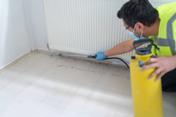Pest Control for Restaurants in Suncoast Estates, FL
